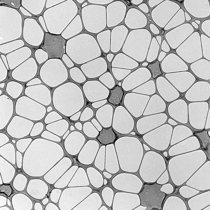 گرید کربن لیسی مس آگار (AGS166-3)